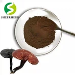 ریڈ ریشی مشروم کا عرق