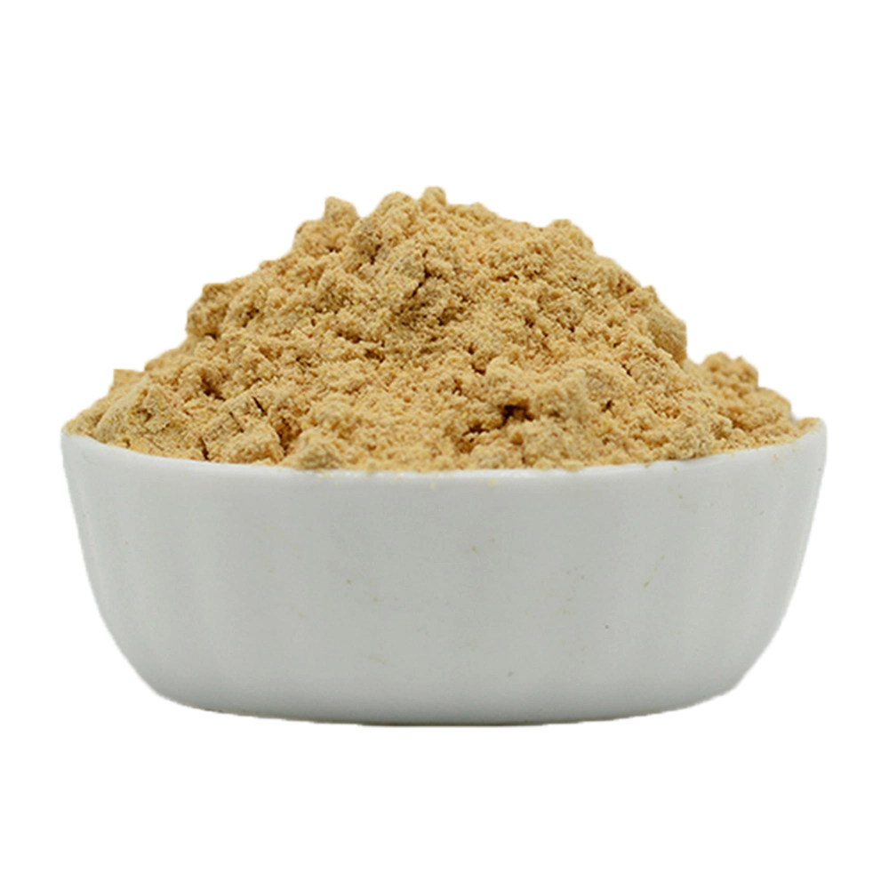 Factory Wholesale Instant Soluble Ginger Root Extract Powder Pure Ginger Concentrate Powder