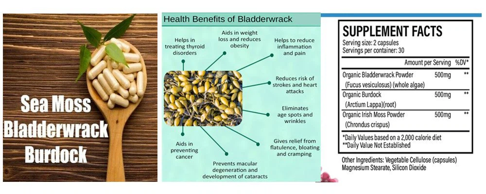 sea moss bladderwrack burdock capsules 750 mg
