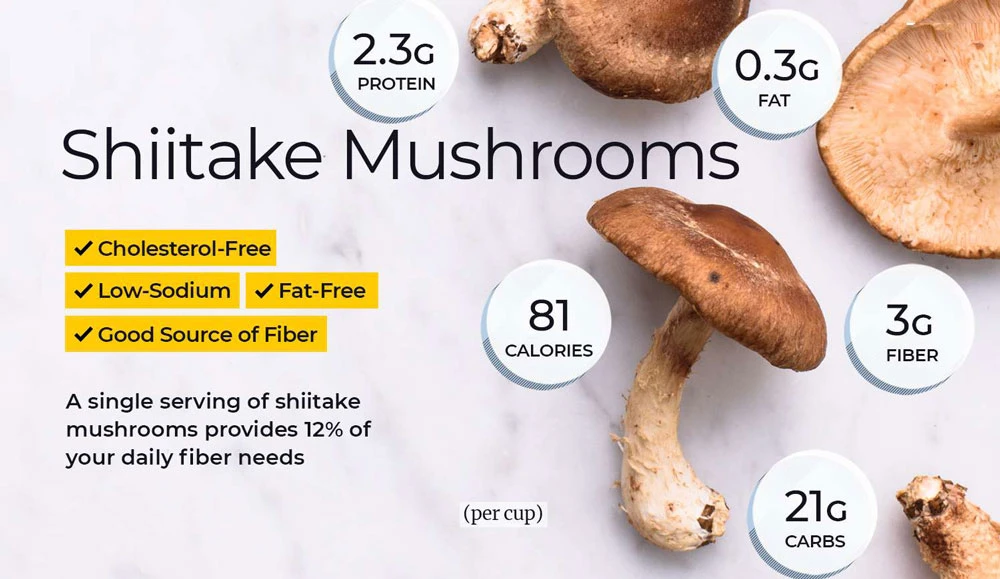 shiitake-mushrooms_info
