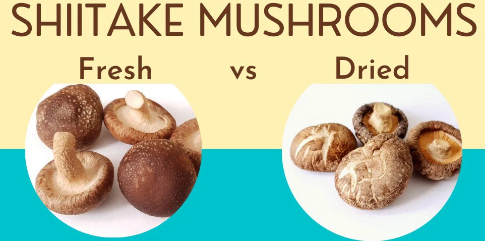 Shiitake-mushrooms-vs-dried
