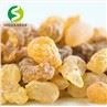 Boswellia Serrata Extract Powder