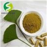 Ginkgo Biloba Extract Powder