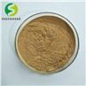 Saffron Extract Powder