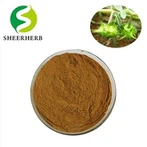 Tribulus Terrestris ایکسٹریکٹ پاؤڈر