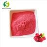 Raspberry Extract