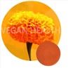 Water Soluble Lutein Microcapsules Powder