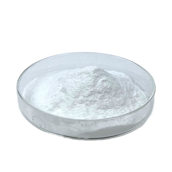 سیرراپپٹیس